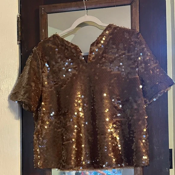 Ann Taylor Shimmering Bronze Sequin Crop Top - Picture 3 of 3